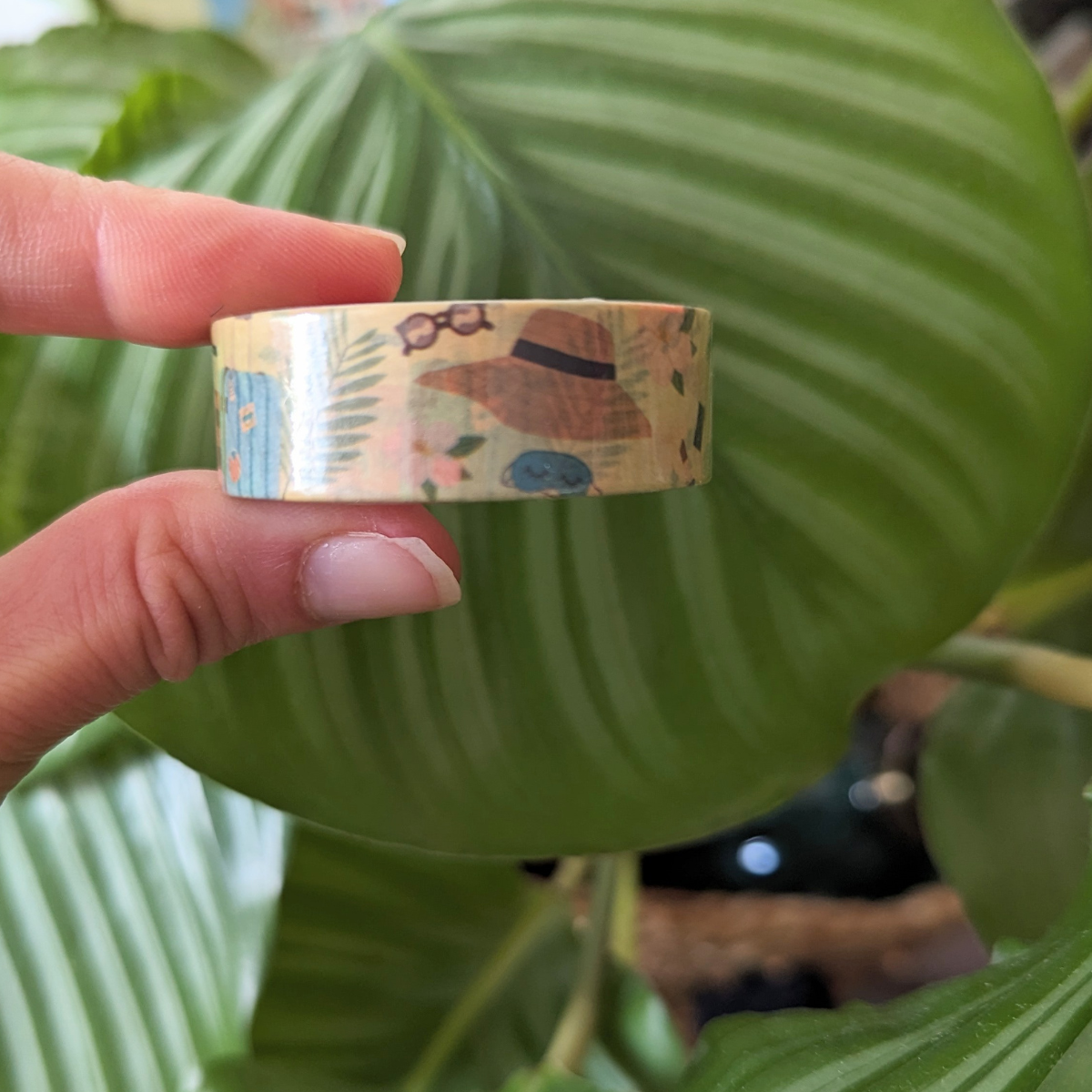 Masking Tape Voyage