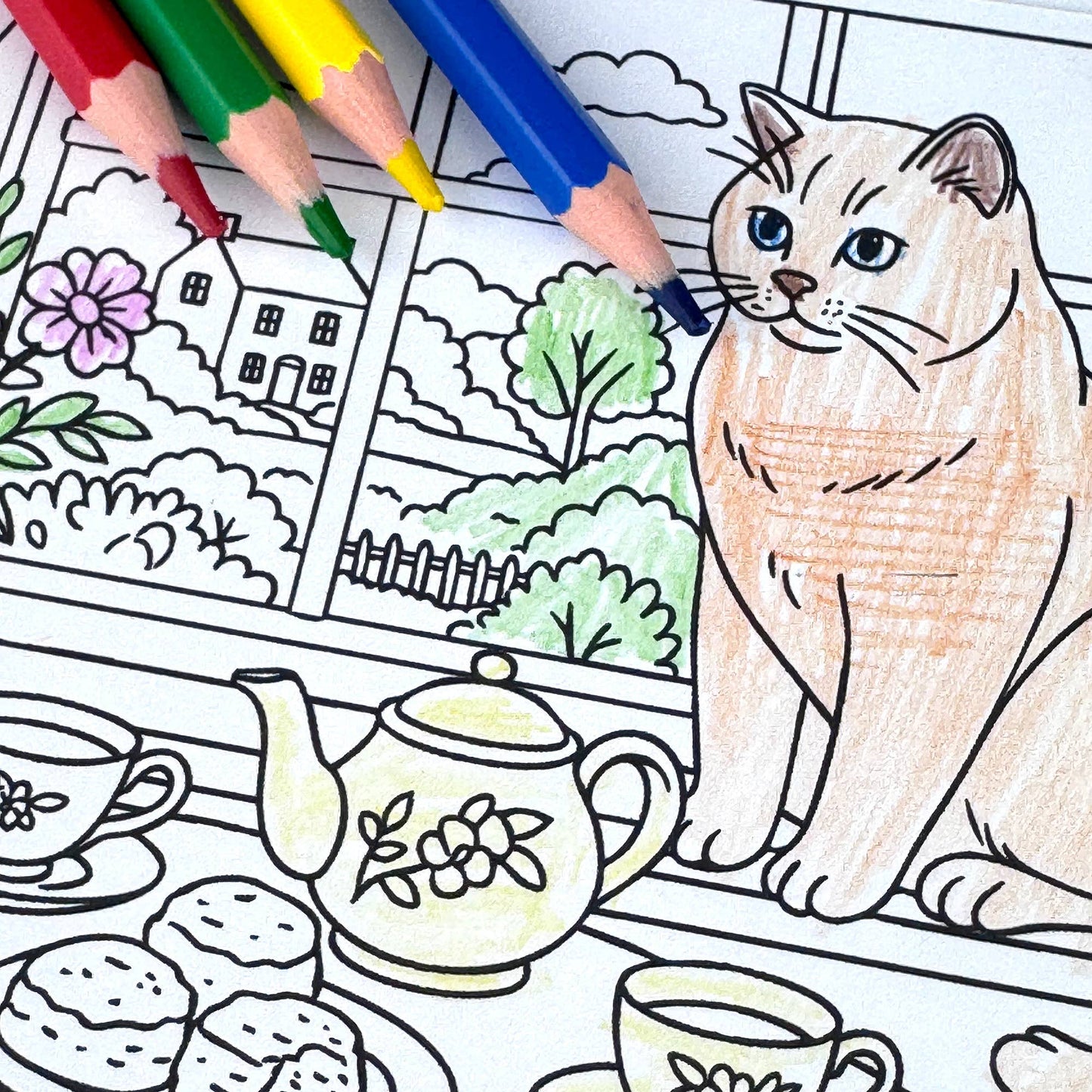 Ensemble de cartes postales à colorier Chats