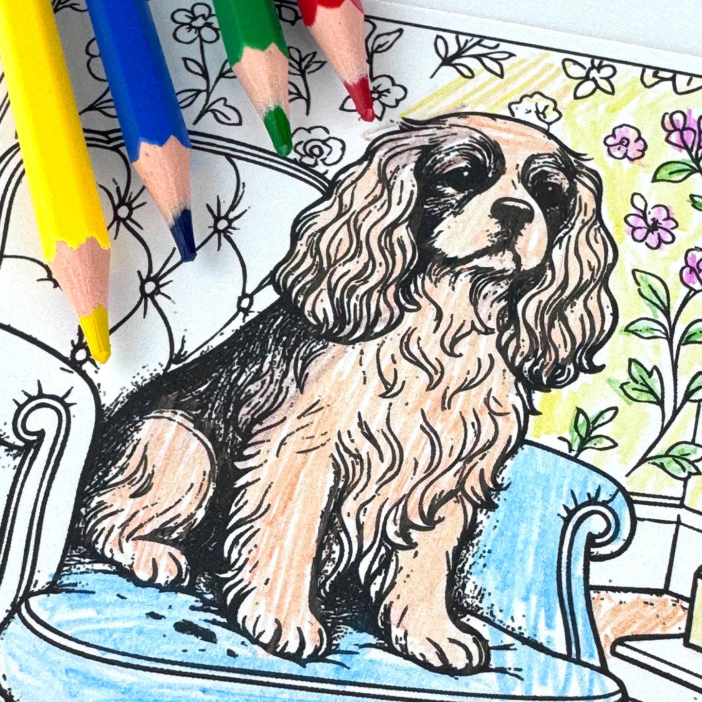 Ensemble de Cartes Postales à Colorier Chiens