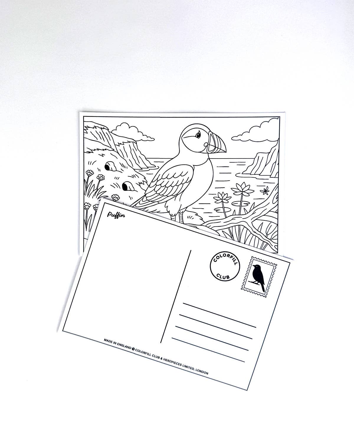 Ensemble de cartes postales à colorier oiseaux
