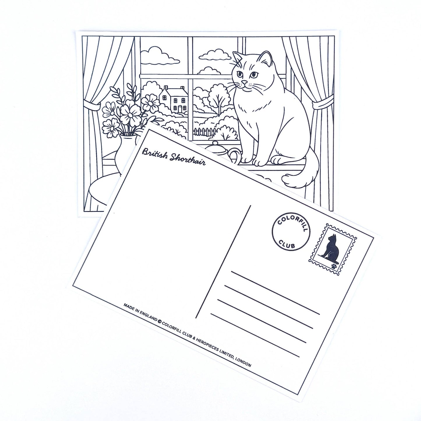 Ensemble de cartes postales à colorier Chats