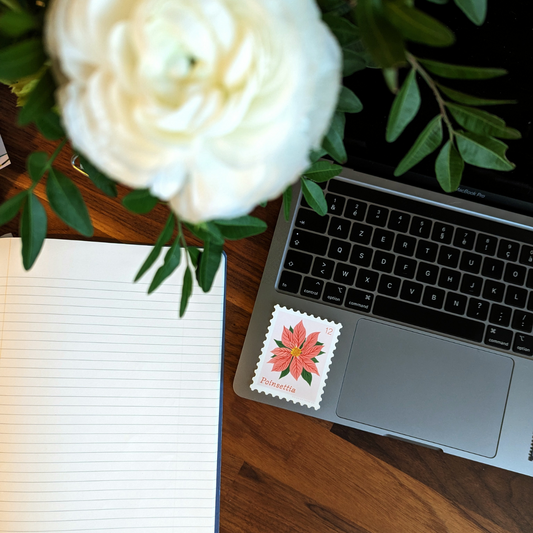 Autocollant Fleur de Décembre