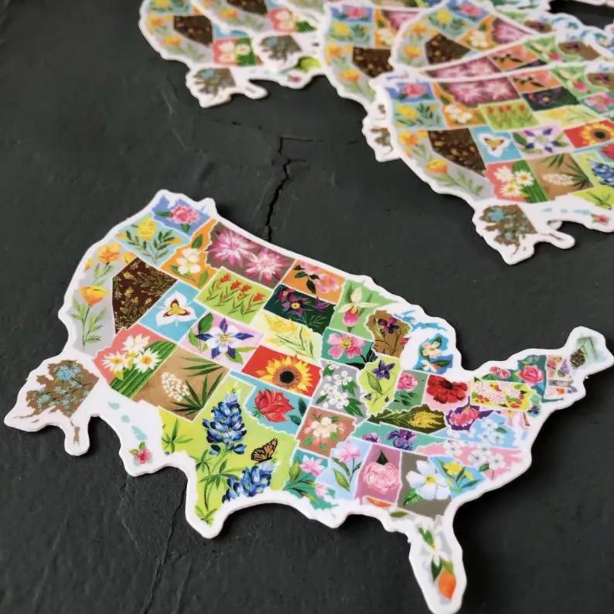 Katie Daisy Autocollant USA
