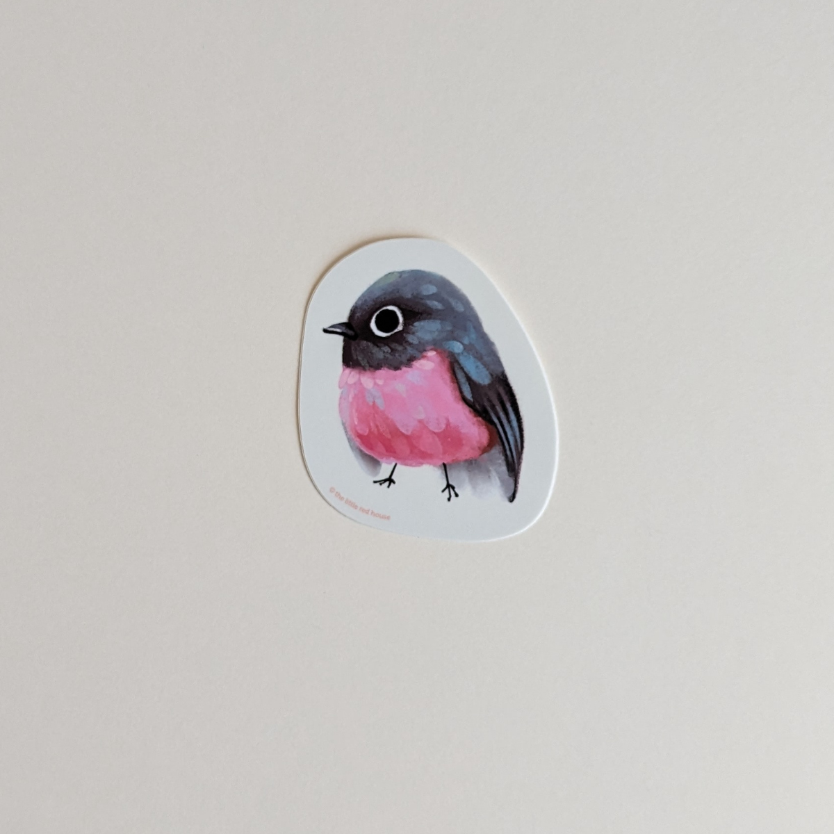 Cet autocollant d'un rouge-gorge est de toute beauté pour décorer votre agenda, votre ordinateur portable, une gourde… Il ajoutera une touche de couleur et rappelle la présence poétique de la faune dans votre vie quotidienne.