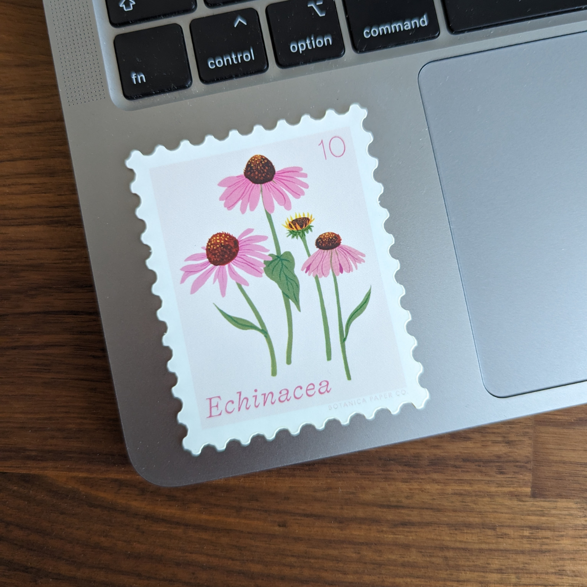 Autocollant en forme de timbre avec une illustration d'échinacées.