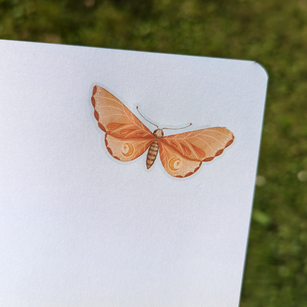 Un beau papillon à coller où vous voulez !