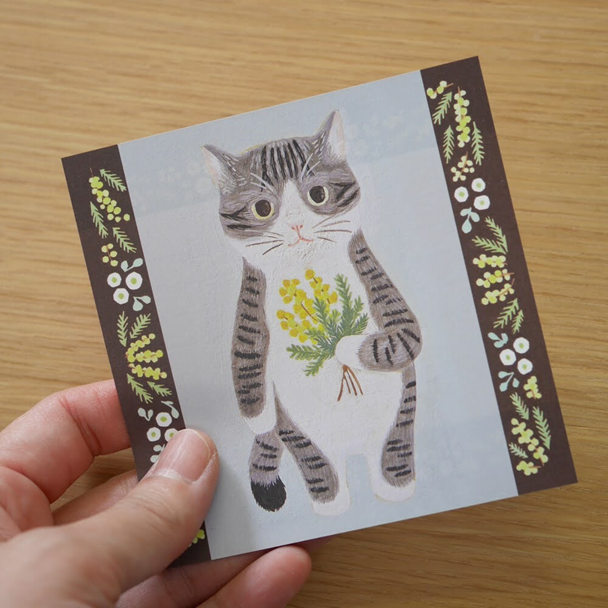 Ensemble de 50 feuilles Chat Mimosa 4legs