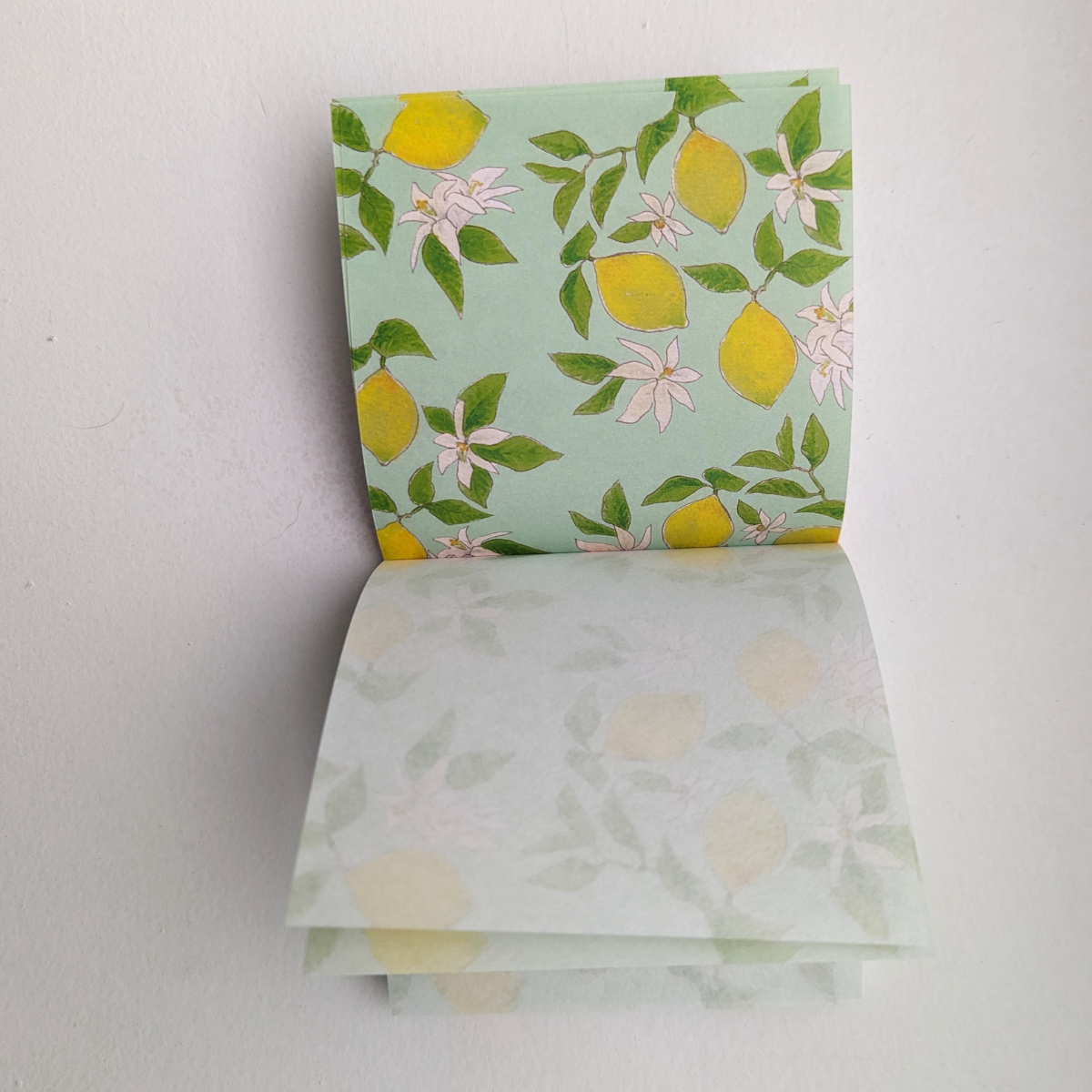Bloc-Notes Citrons Éclatants