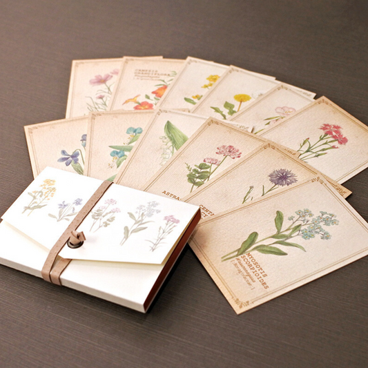 Boîte à Images Fleurs Sauvages