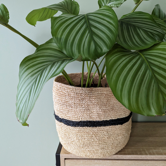 Panier en raphia couleur naturel avec raphia noir au milieu.