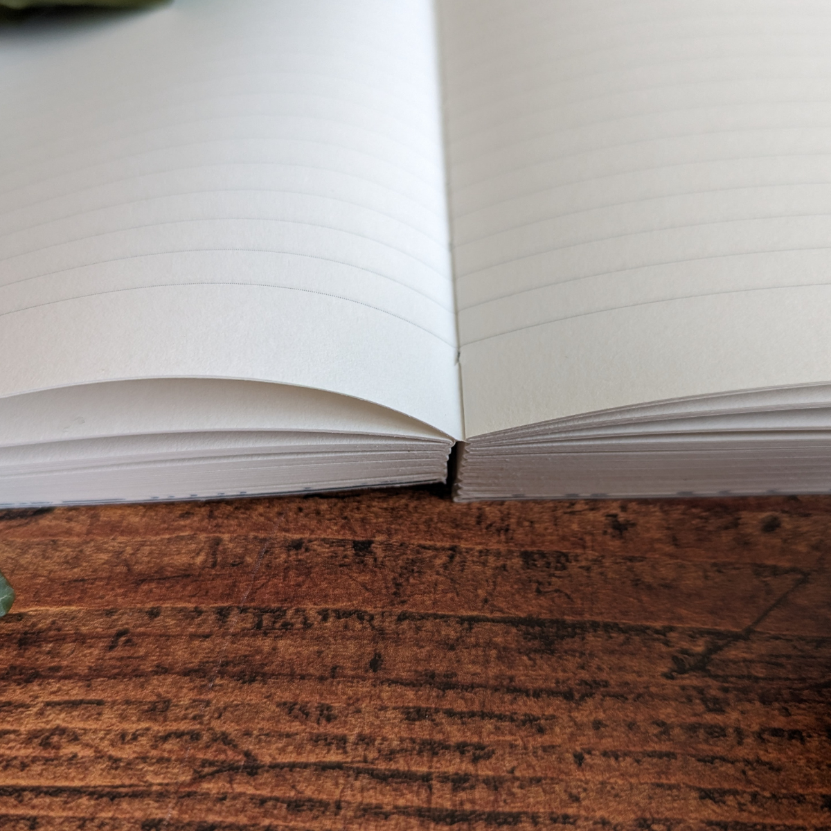Rupture définitive – Cahier A5 Arbres Bleus Pascale Éditions