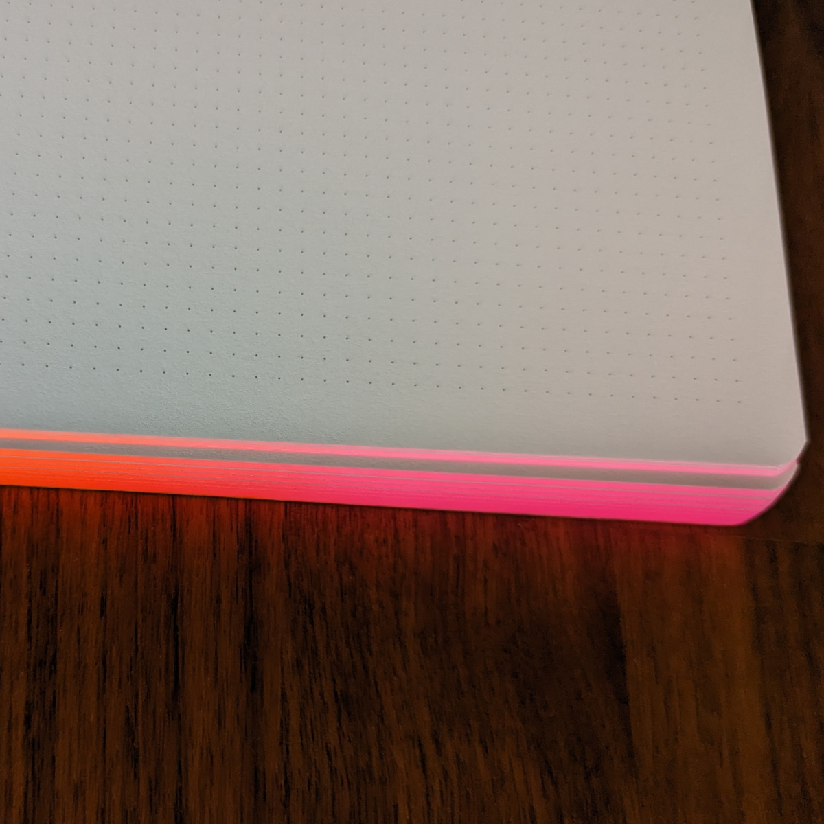 Quand l'orange fluo rencontre le rose fluo, tout devient flamboyant !