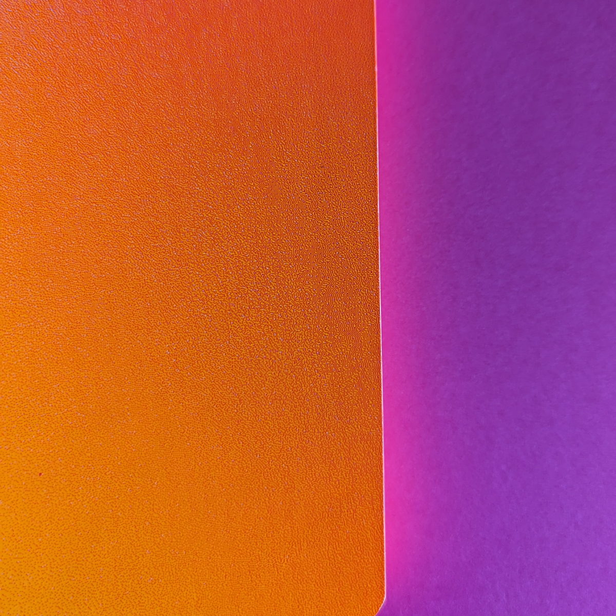 Quand l'orange fluo rencontre le rose fluo, tout devient flamboyant !