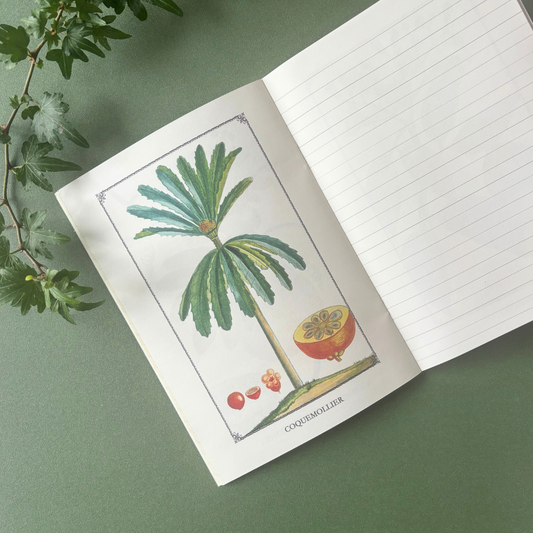 Cahier A5 avec Illustrations de Plantes et Pages Lignées