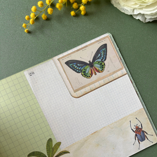 Carnet de Voyage Illustré - Gwenaëlle Trolez