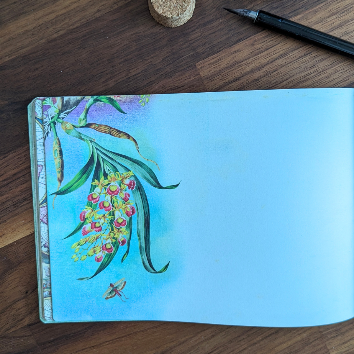 Carnet de Voyage Illustré - Gwenaëlle Trolez