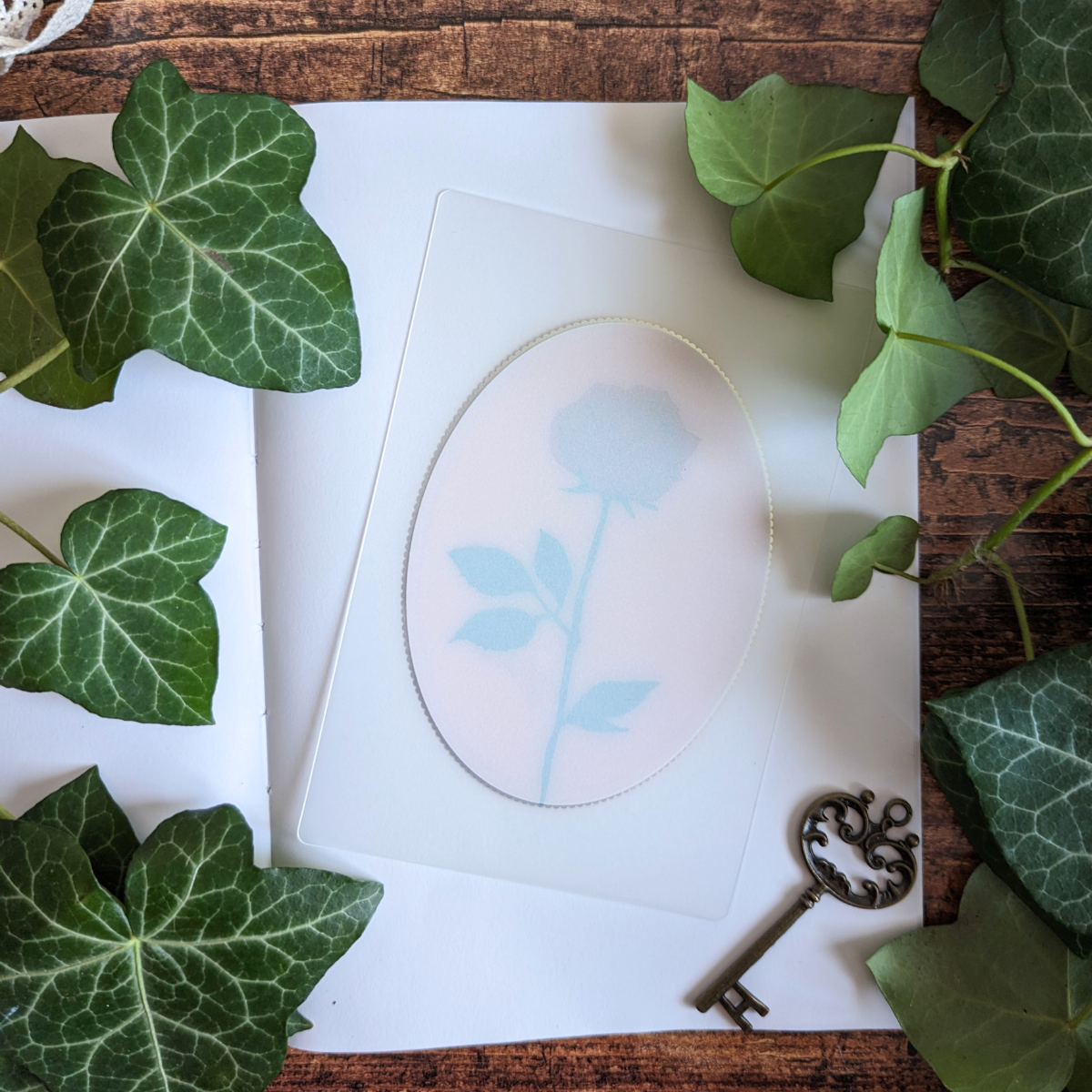 Carte Médaillon Rose