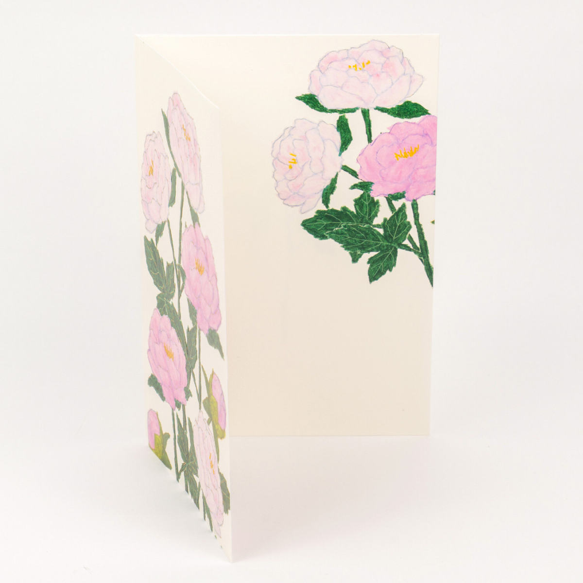 Carte Rosier en Fleurs