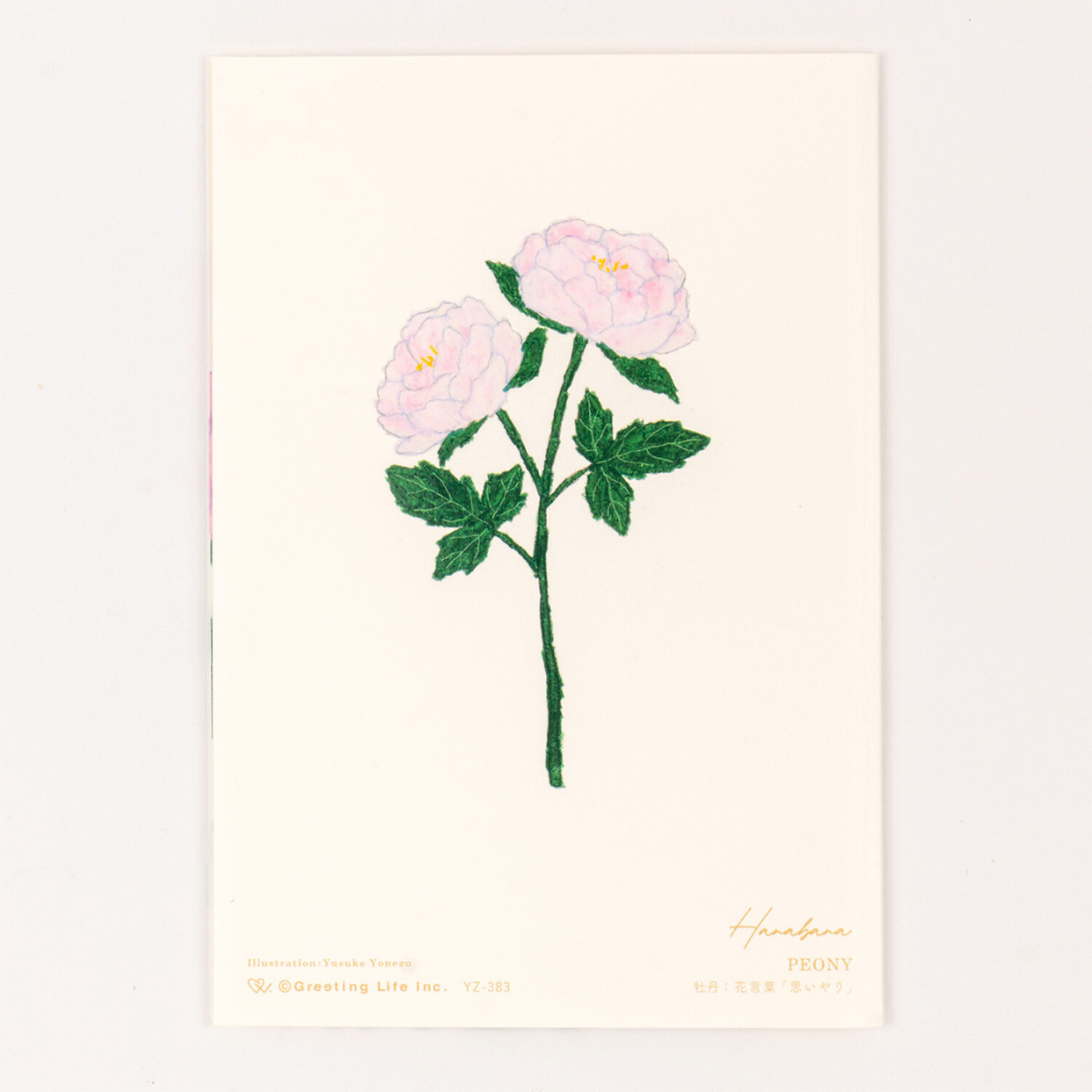Carte Rosier en Fleurs