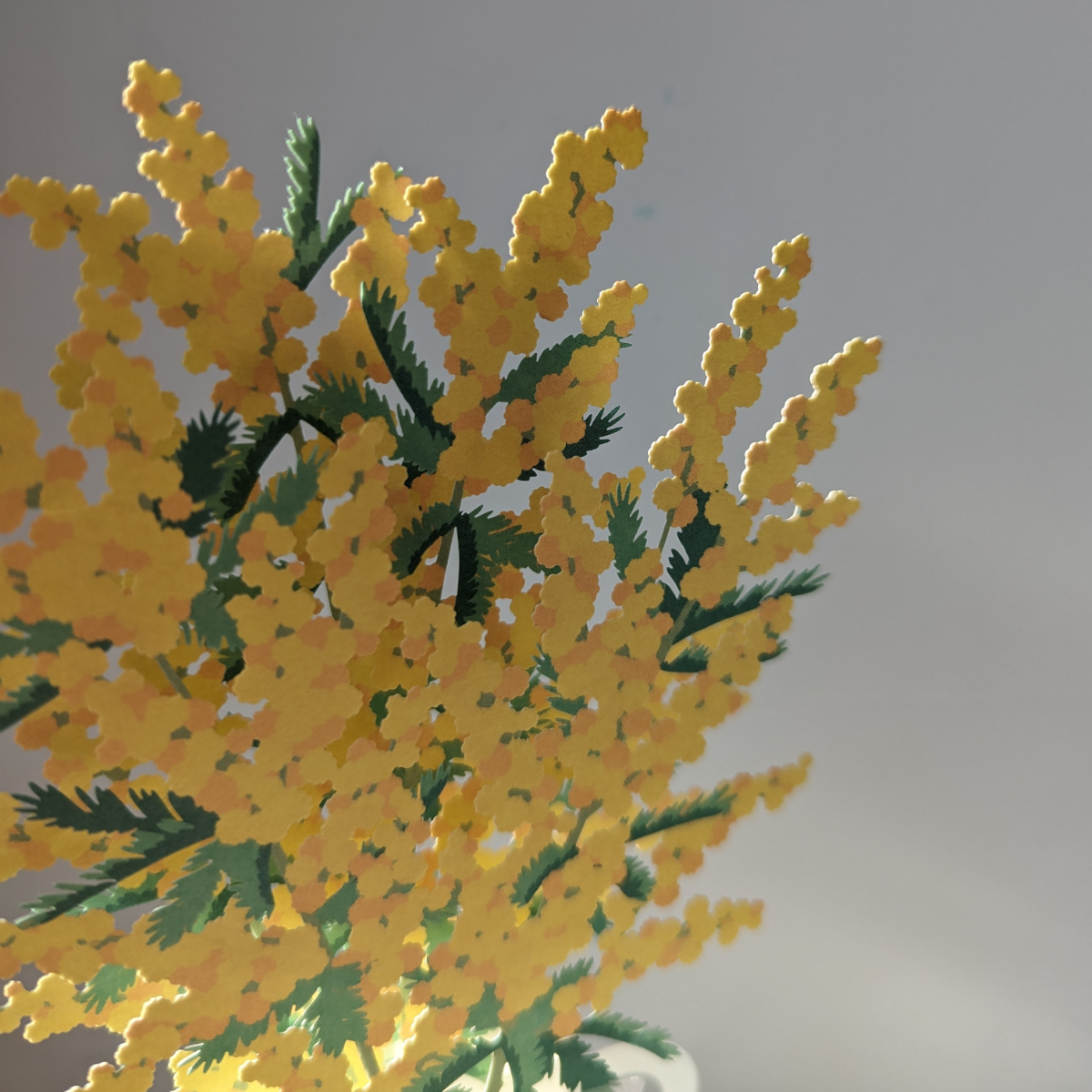 Carte Bouquet de Mimosa Pop-Up
