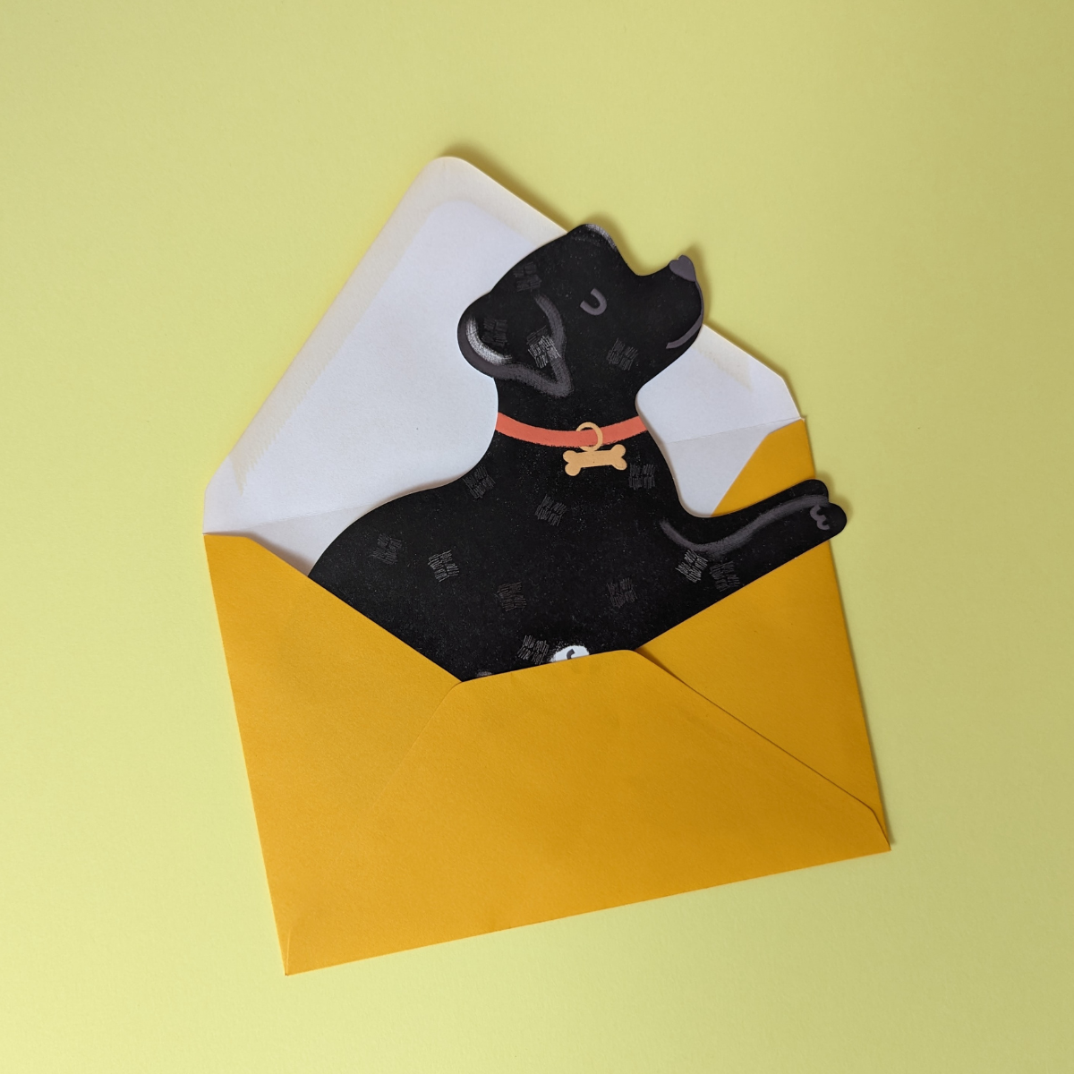 Ce labrador chocolat est tellement mignon : son poil et sa petite truffe en forme de coeur sont gaufrés et brillants ce qui le rend vraiment craquant.
