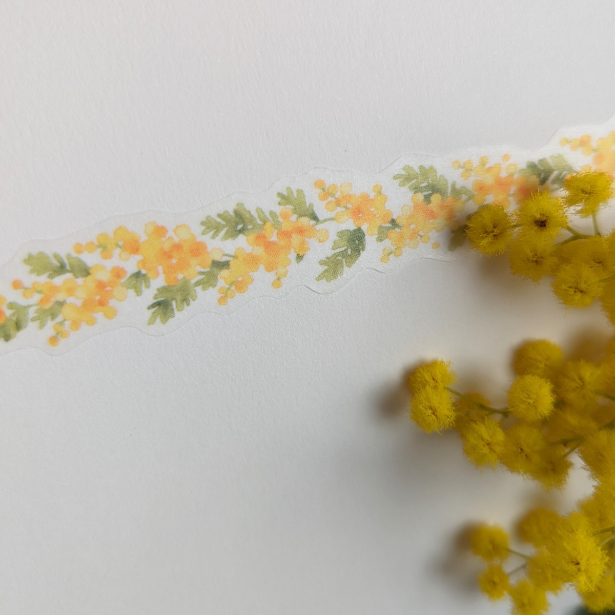 Masking Tape Mimosa – Mind Wave