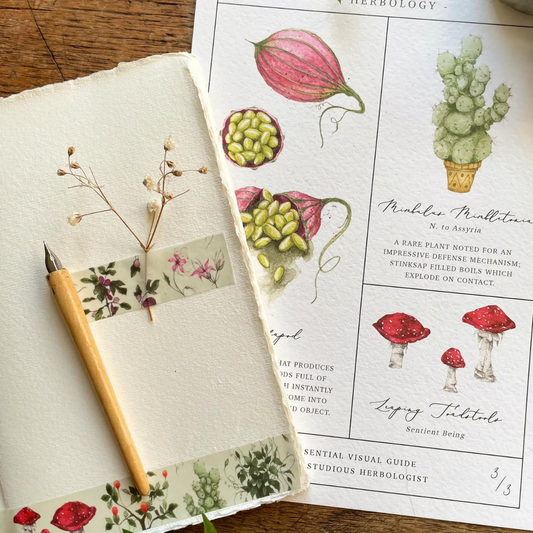 Ajoutez de la magie à votre papeterie avec ce ruban représentant les plantes essentielles que toute sorcière ou magicien en herboristerie étudiera !