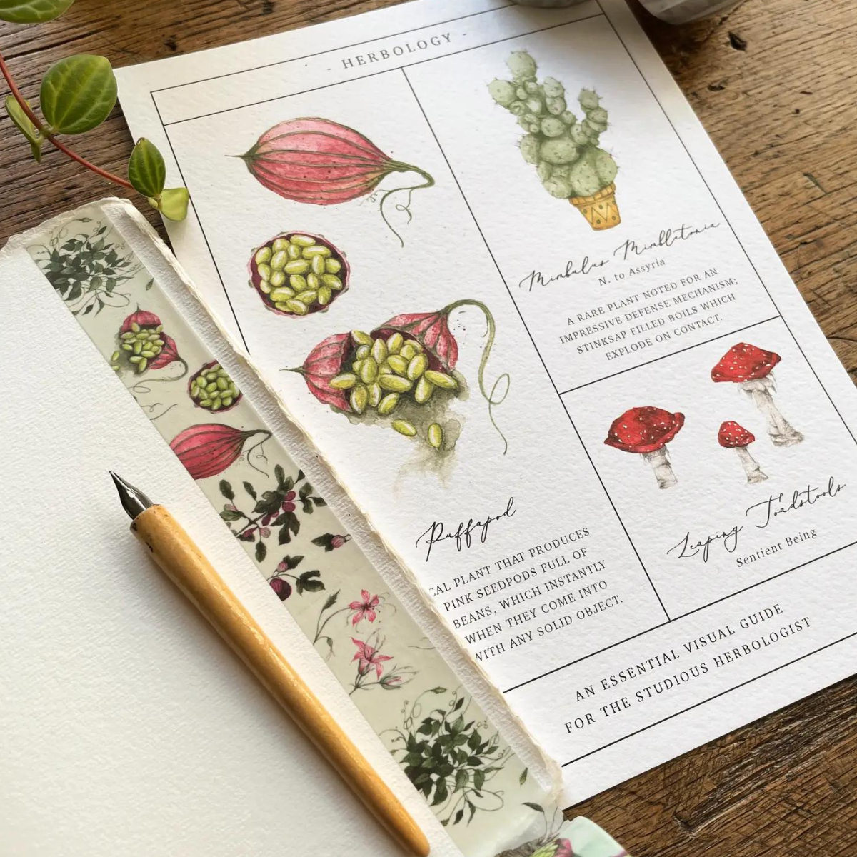 Ajoutez de la magie à votre papeterie avec ce ruban représentant les plantes essentielles que toute sorcière ou magicien en herboristerie étudiera !