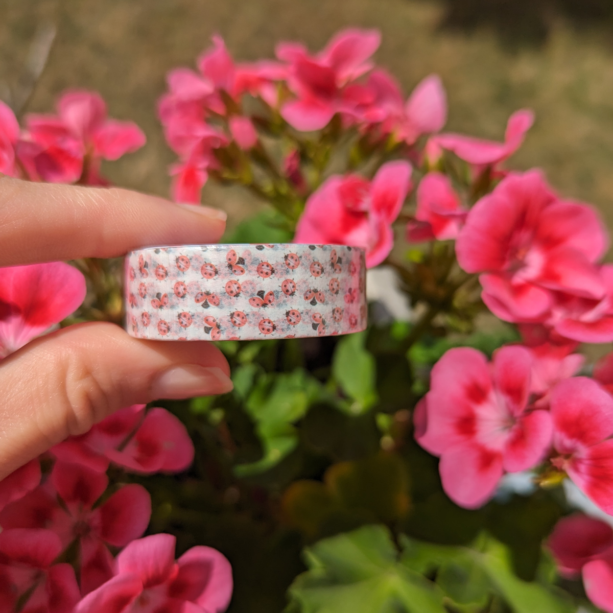 Ces adorables petites créatures porte-bonheur viendront embellir vos papiers. Pour égayer une carte de vœux, donner vie à un carnet de souvenirs ou tout simplement pour apporter une dose de chance à votre quotidien.