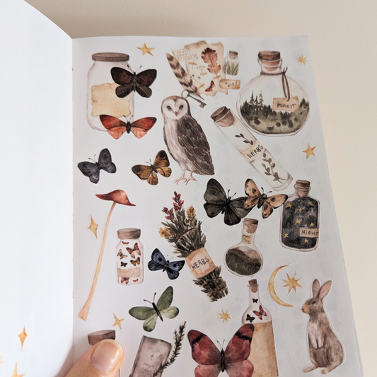 Ce ruban présente de magnifiques illustrations d'une forêt enchantée avec des animaux, des papillons et des bouteilles magiques. Les détails du design sont soulignés par une couche de brillance spéciale.