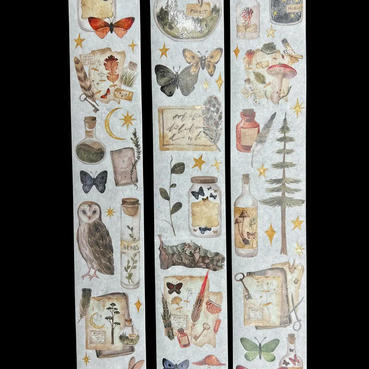 Ce ruban présente de magnifiques illustrations d'une forêt enchantée avec des animaux, des papillons et des bouteilles magiques. Les détails du design sont soulignés par une couche de brillance spéciale.