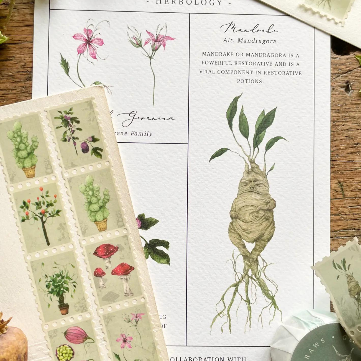 Masking Tape Timbres Herboriste - Georgiou Draws