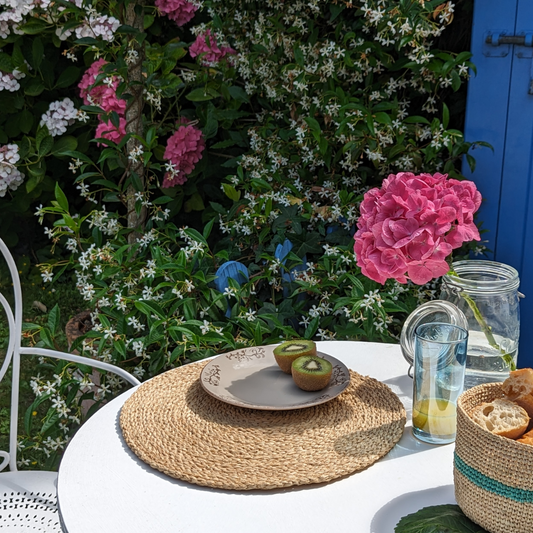 Ces sets de table en raphia sont un moyen simple et élégant d'embellir votre espace de repas.