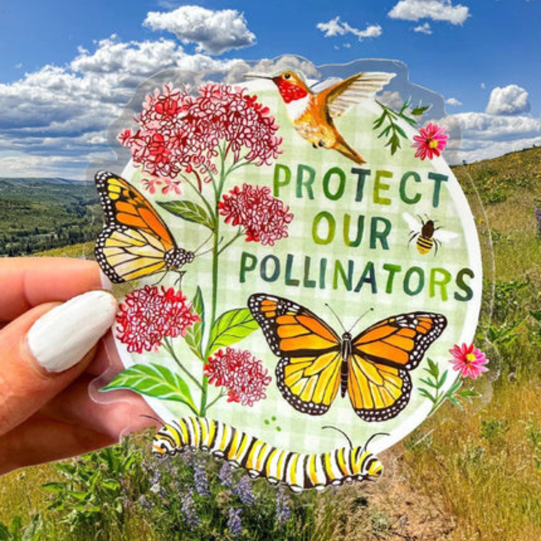 Sticker en Vinyle Protégez nos Pollinisateurs Katie Daisy