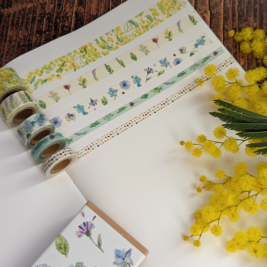 Boîte Shinzi Katoh de 5 Masking Tapes Mimosa