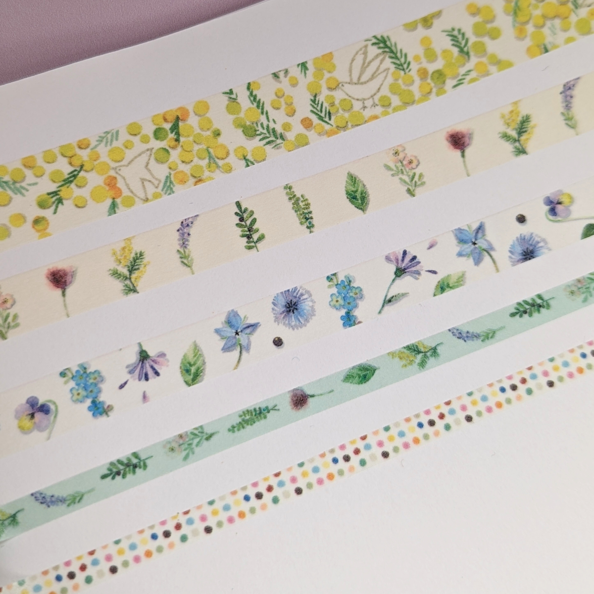 Boîte Shinzi Katoh de 5 Masking Tapes Mimosa