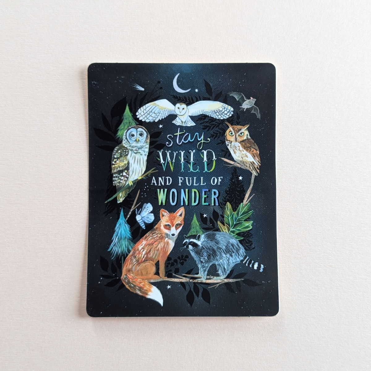 Autocollant Katie Daisy Animaux Nocturnes