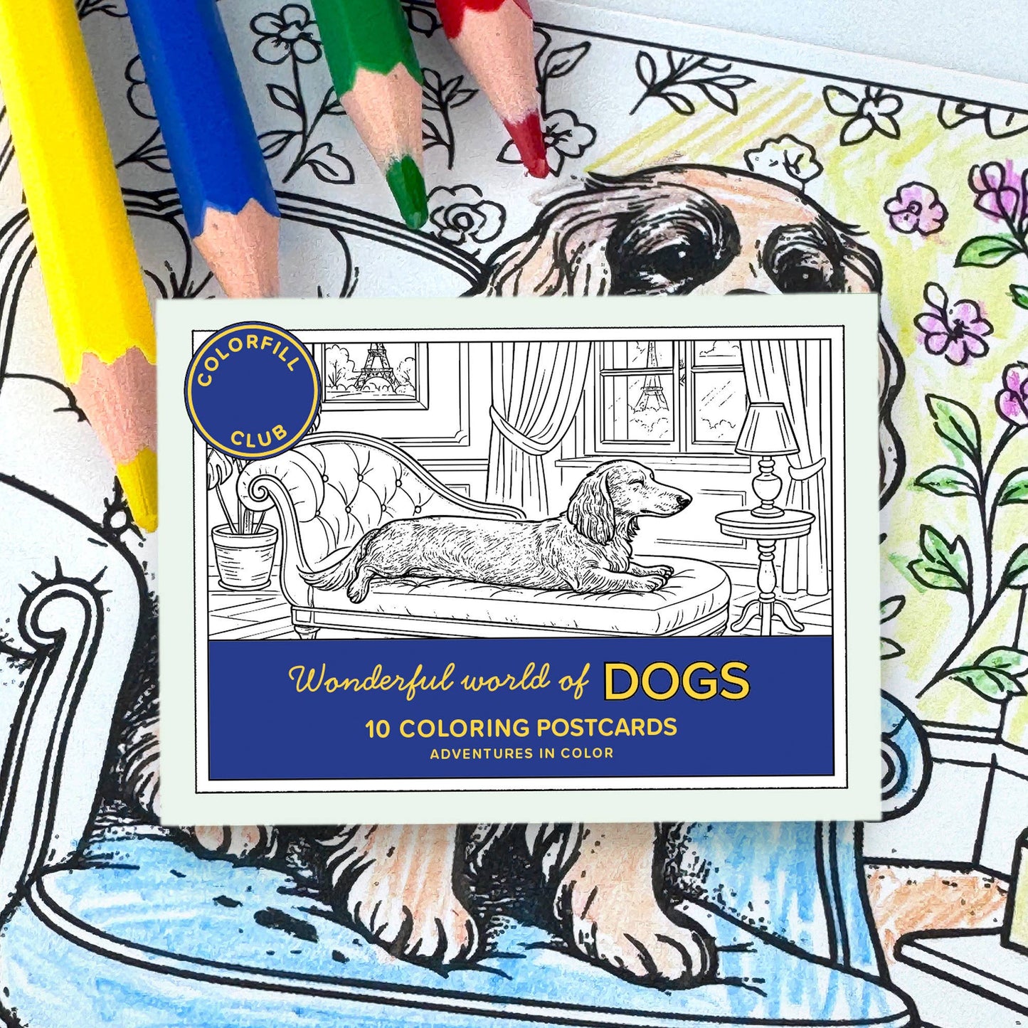 Ensemble de Cartes Postales à Colorier Chiens
