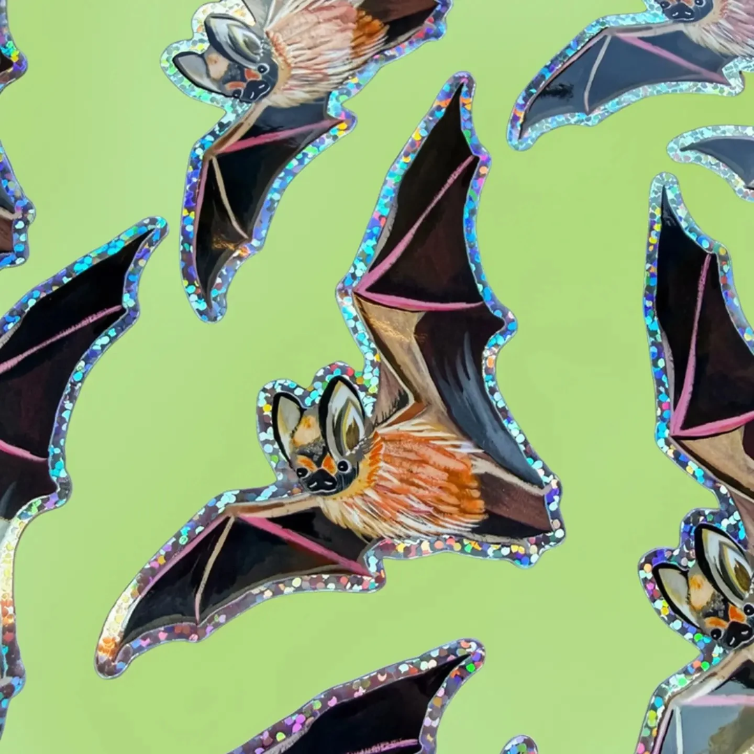 Autocollant Chauve-Souris Katie Daisy