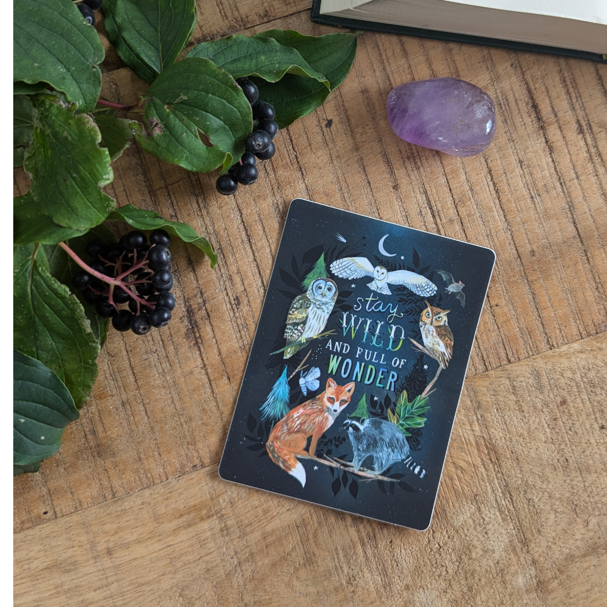 Autocollant Katie Daisy Animaux Nocturnes