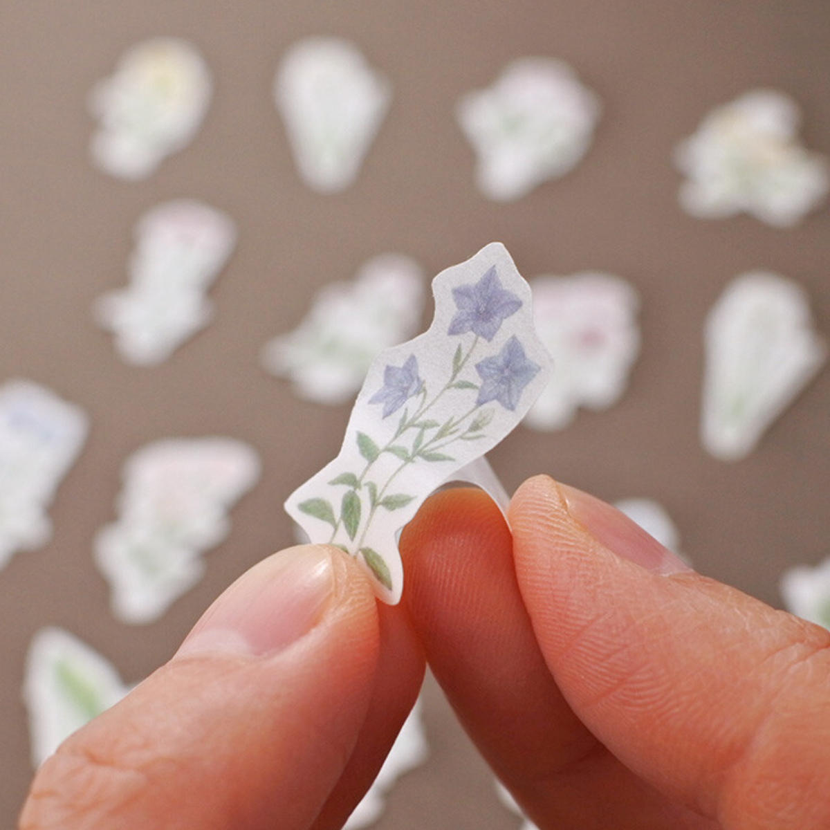 Stickers Japonais Fleurs Sauvages