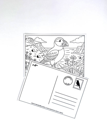 Ensemble de cartes postales à colorier oiseaux