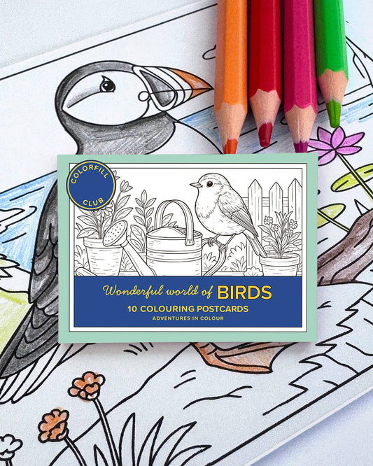 Ensemble de cartes postales à colorier oiseaux