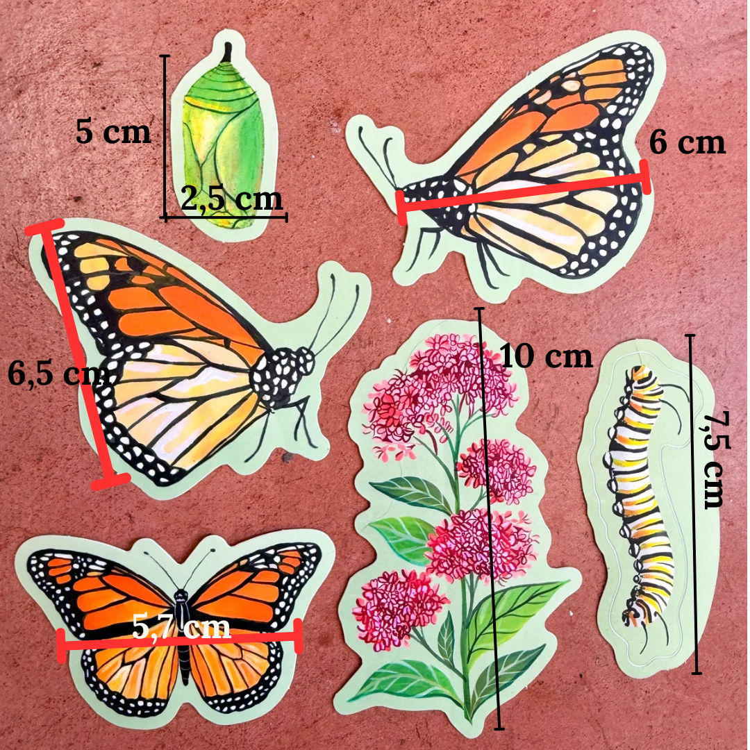 Pack d'autocollants Monarque (lot de 6) Katie Daisy