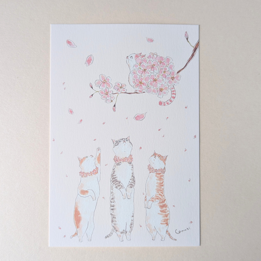 Carte Chakura Tocoro Comugi