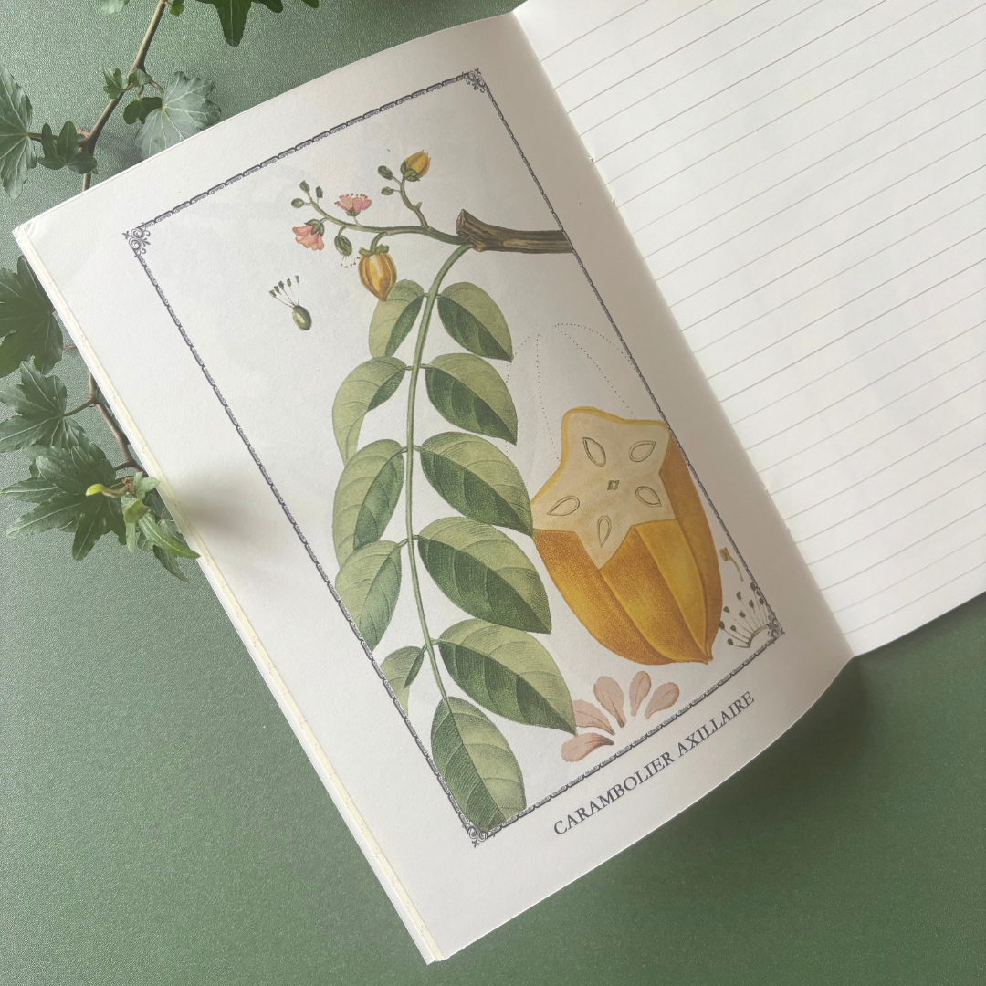 Cahier Imagier Flore Pittoresque A5
