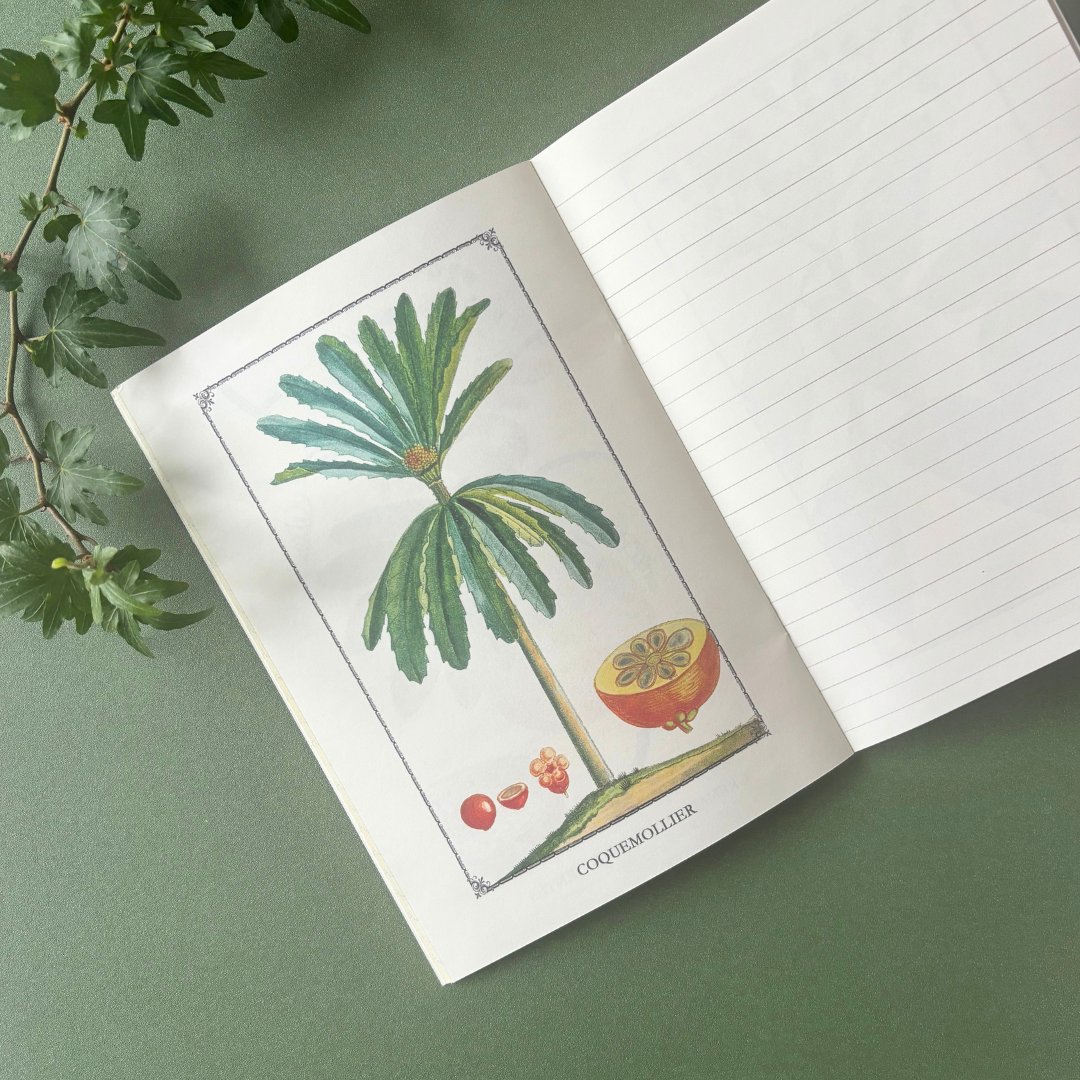 Cahier Imagier Flore Pittoresque A5