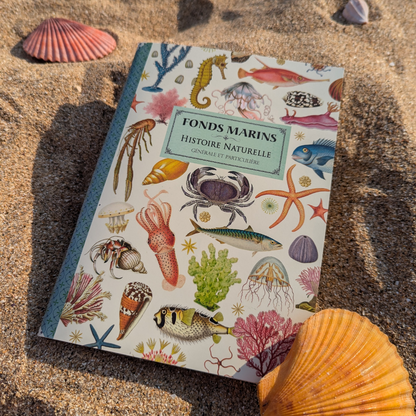 Cahier Imagier Les Fonds Marins A5