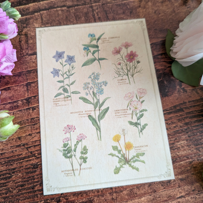 Carte Vintage Fleurs