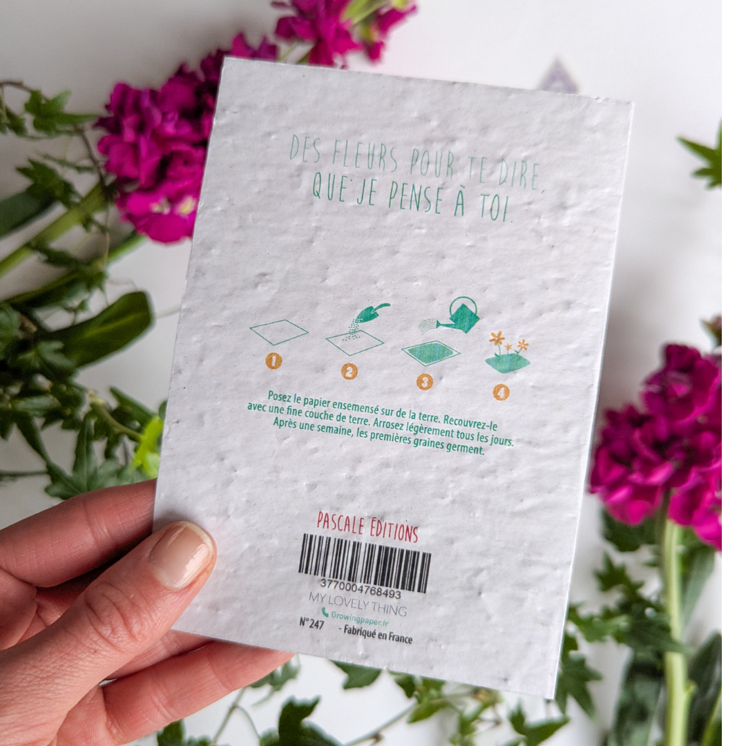 Carte à Planter " Jardin du Luxembourg " avec Graines de Fleurs des Champs